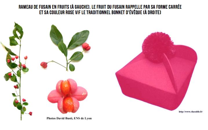 Bonnet de cure